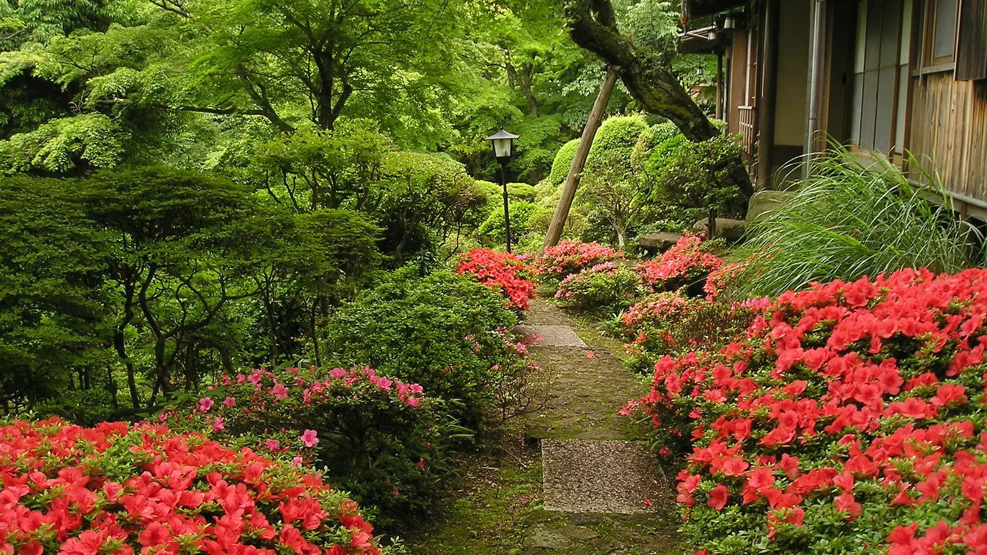 Gora Kansuiro Hakone 4*,  Japan